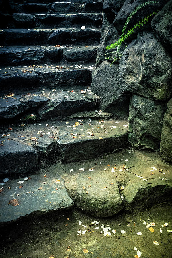 Nature Photograph - Stone Stairway by Carlos Caetano