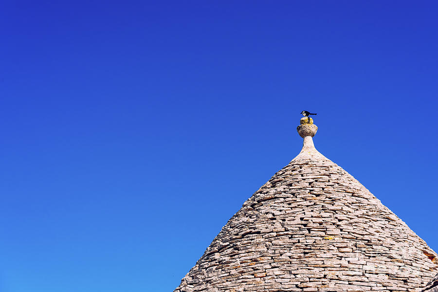 Stone tiles cover the roofs of the trulli in Alberobello, an Italian city to visit on a trip to Italy. #2 Photograph by Joaquin Corbalan