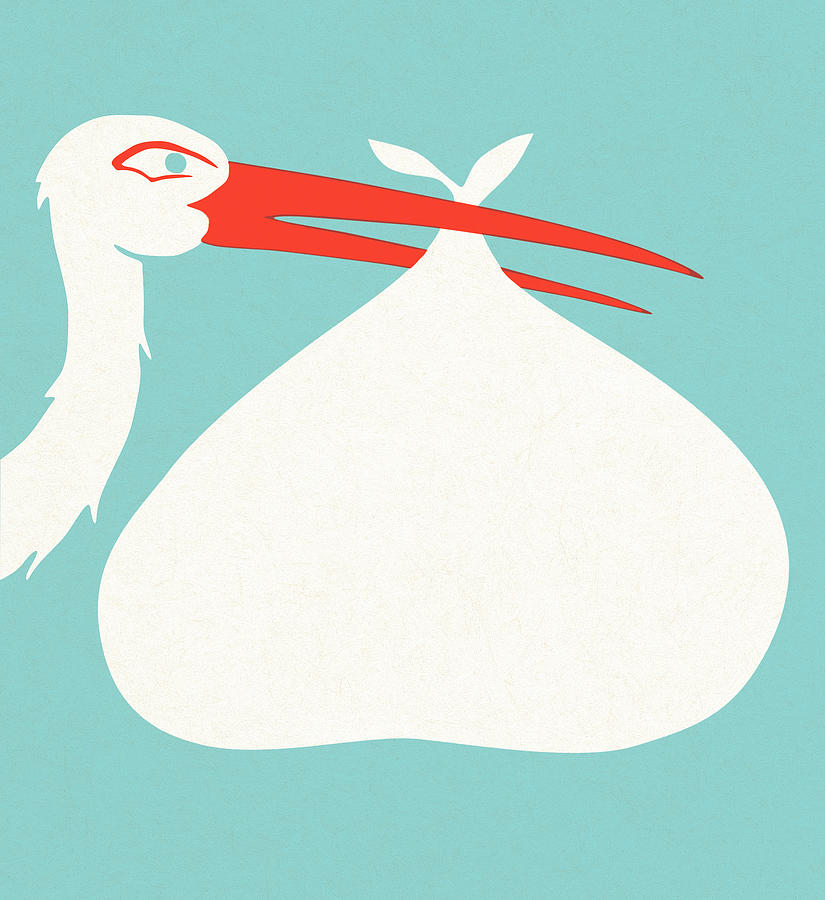 Stork Drawing - Stork delivery #2 by CSA Images