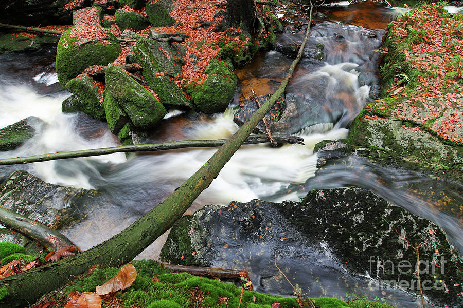 Stream in the autumn forest #2 Photograph by Michal Boubin