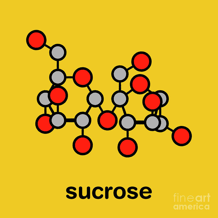 Sucrose Sugar Molecule #2 Photograph by Molekuul/science Photo Library