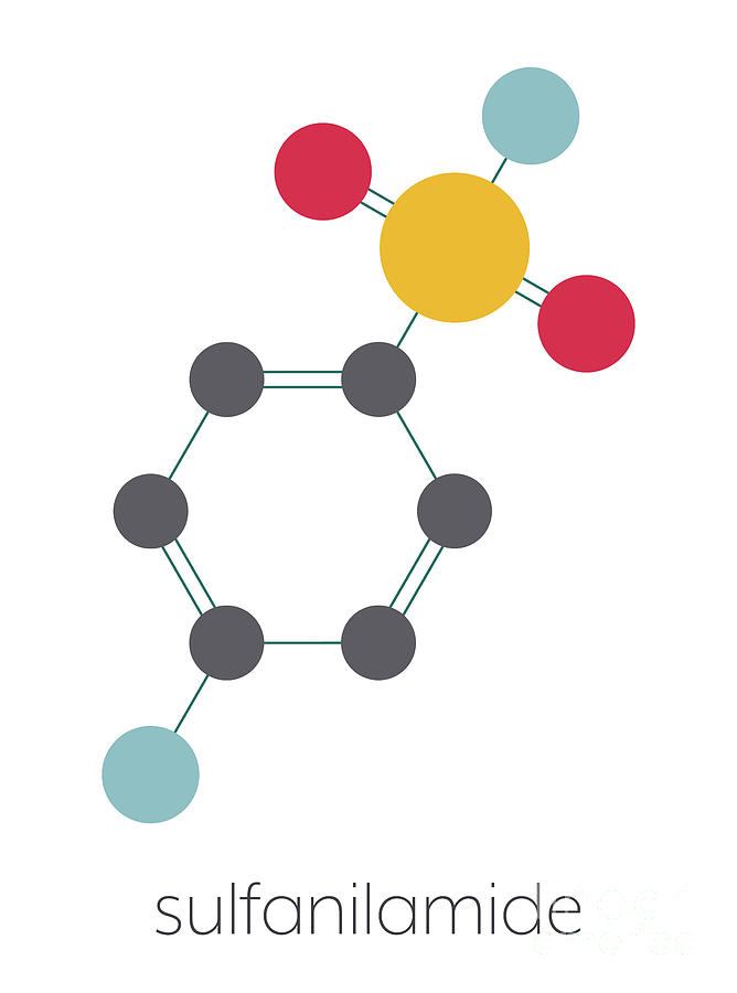 Sulfanilamide Sulfonamide Antibiotic Molecule Photograph by Molekuul ...