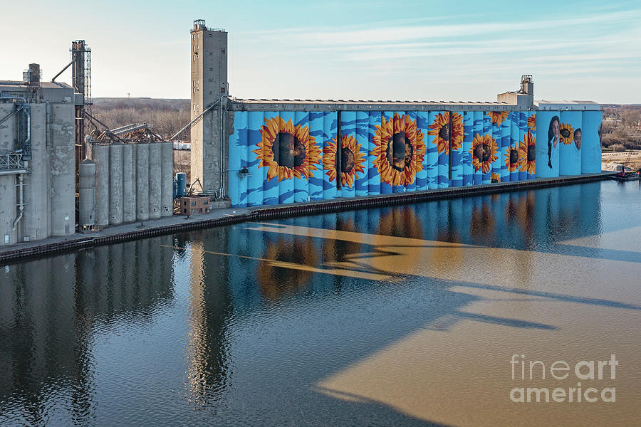 Sunflower Mural On Grain Silos #2 Photograph by Jim West/science Photo Library