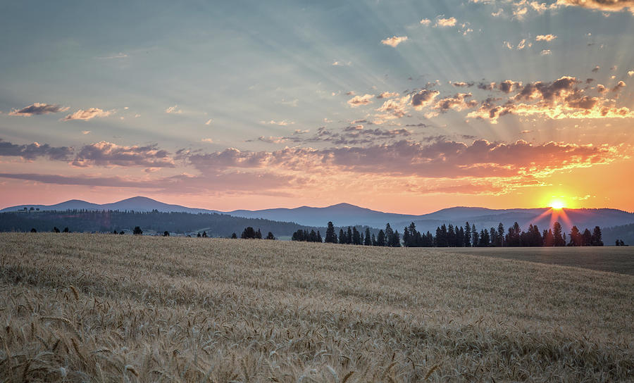 Spokane Photograph - Sunrise #2 by James Richman