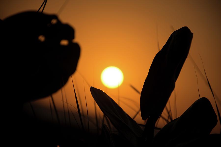 Sunset on Caribbean #3 Photograph by Robert Grac