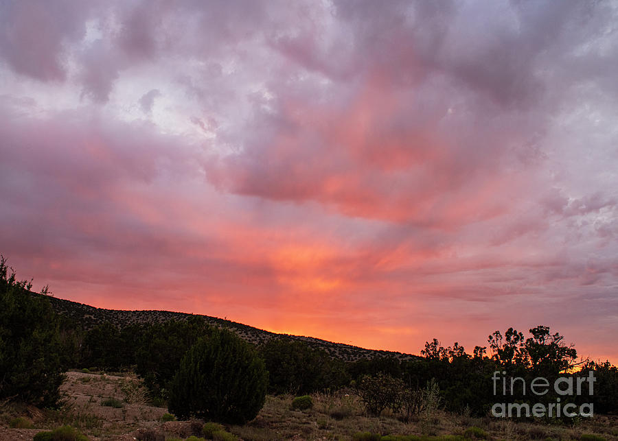 Sunset Ortiz Mountains 1 Photograph by Steven Natanson