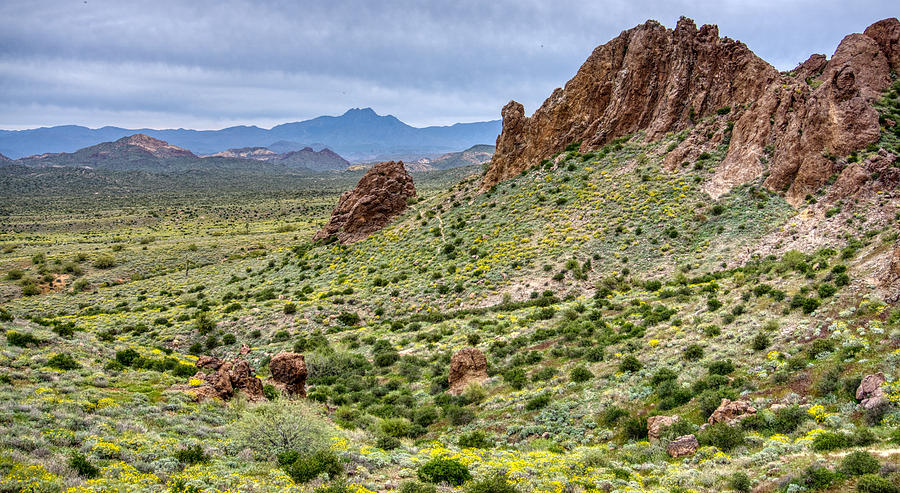 Superstition Mountains  #2 Photograph by Anthony Giammarino