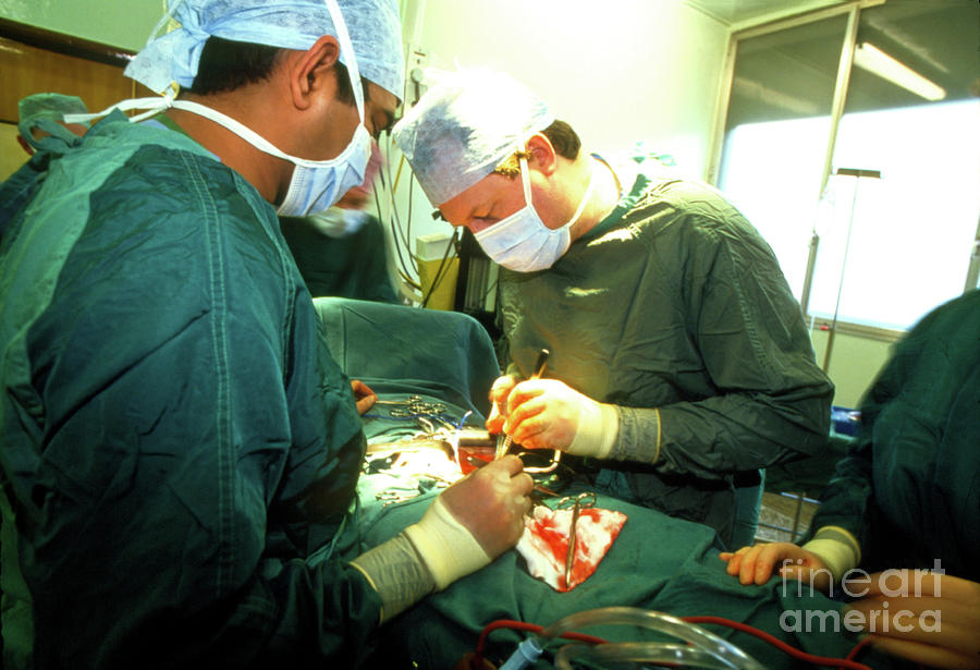 Surgeons Performing A Kidney Transplant Operation #2 Photograph by Antonia Reeve/science Photo Library