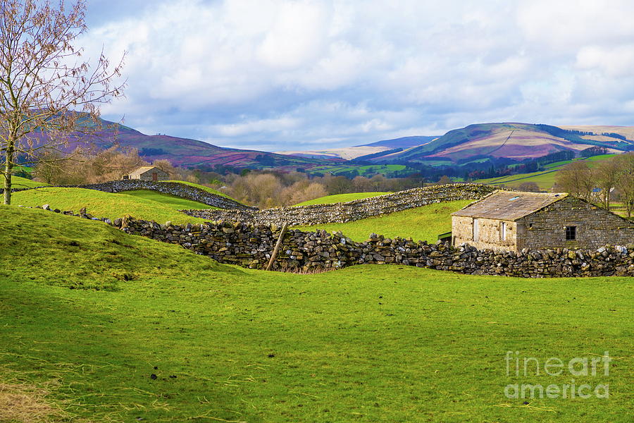 Swaledale, North Yorkshire #2 Photograph by Richard Pinder