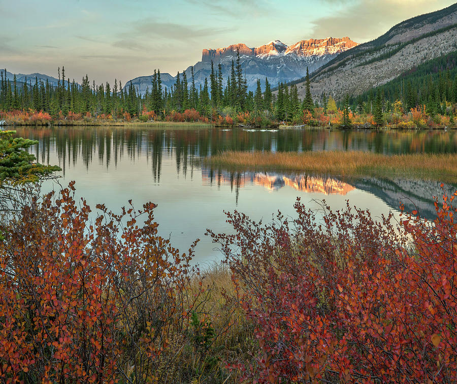 Syncline Ridge And Miette Range by Tim Fitzharris Syncline Ridge And Miette Range by Tim Fitzharris