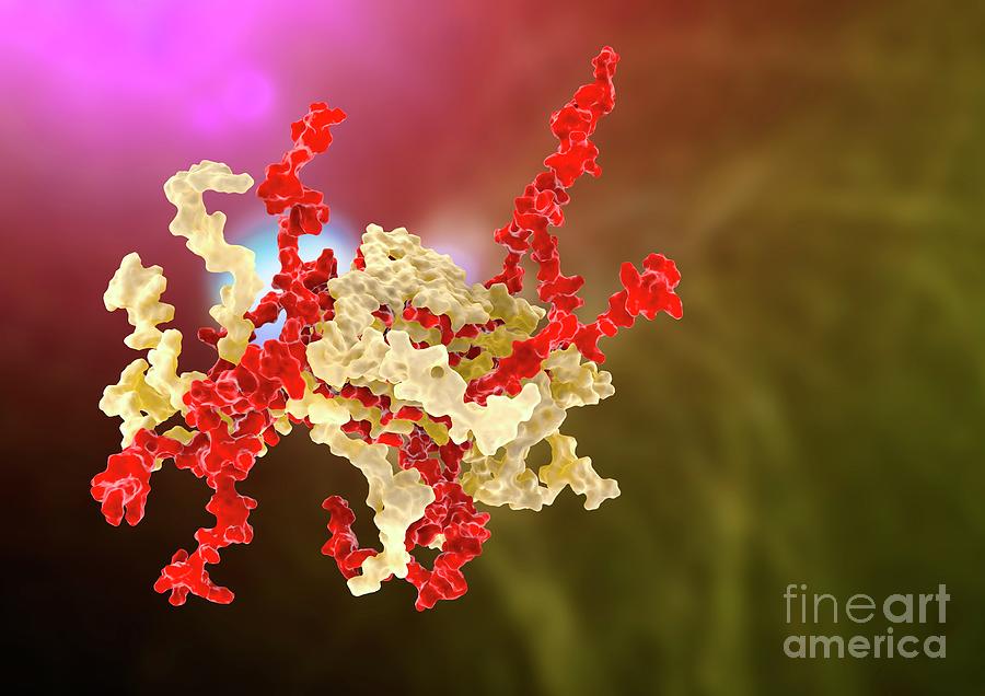 Synuclein Protein In Parkinsons Disease #2 Photograph by Ramon Andrade 3dciencia/science Photo Library