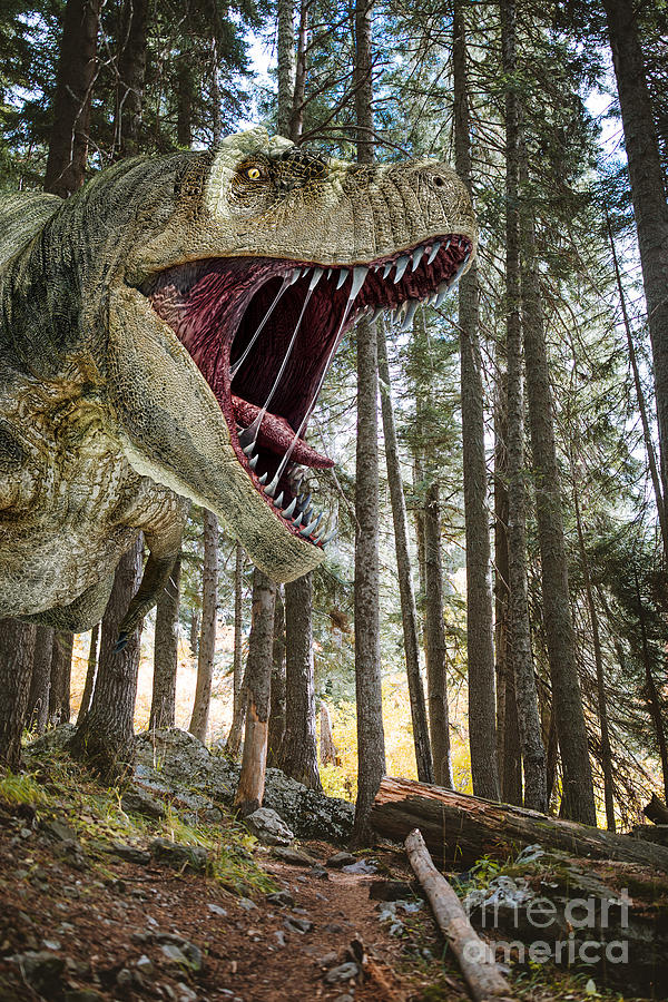 T-rex Dinosaur #2 Photograph by Leonello Calvetti/science Photo Library