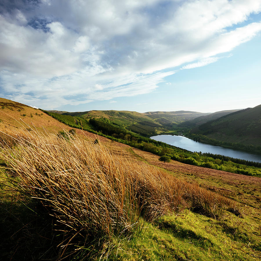 Talybont Reservoir And Glyn Collwn Valley, Brecon Beacons National Park ...