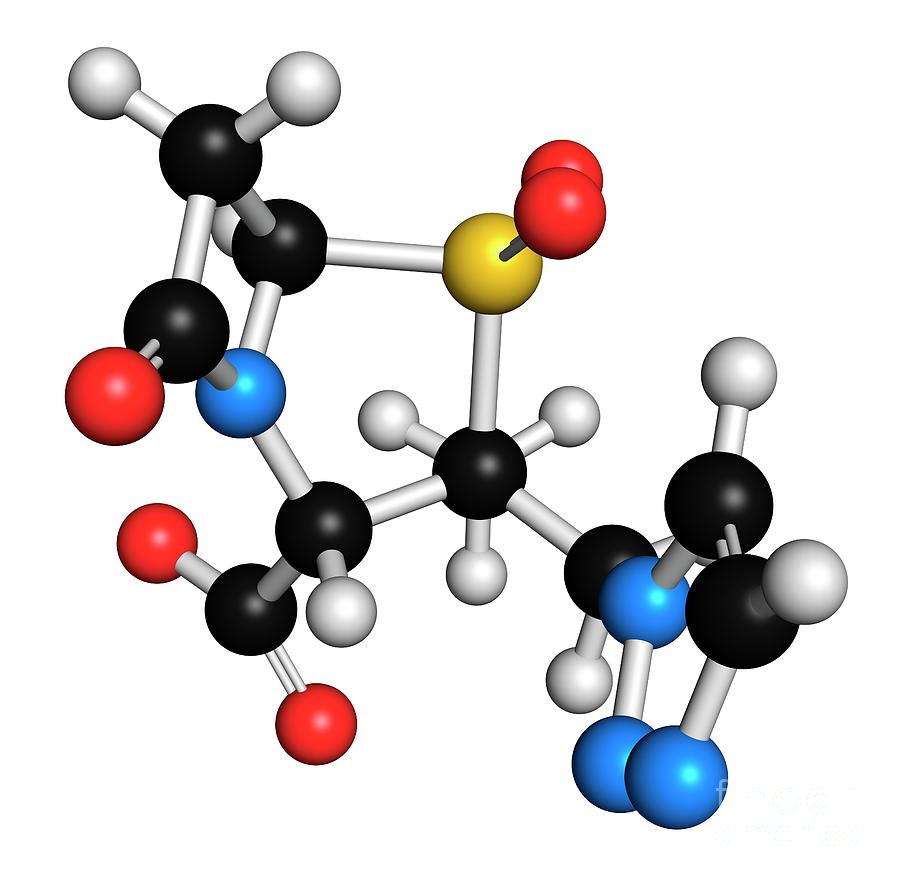 Tazobactam Drug Molecule Photograph By Molekuul Science Photo Library 