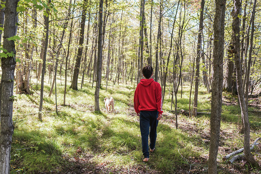2-teenage-boy-walking-through-the-woods-with-his-dog-on-a-summer-day-cavan-images.jpg