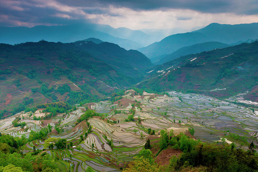 Terraced Rice Paddy Fields, Yuanyang #2 Photograph by Mint Images/ Art Wolfe