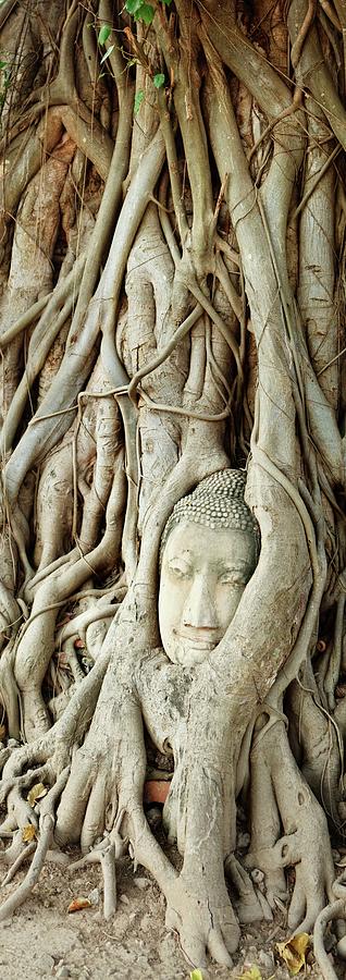 Thailand, Central Thailand, Ayutthaya, Wat Mahathat, Stone Buddha Head Enveloped By Tree Roots #2 Digital Art by Luigi Vaccarella