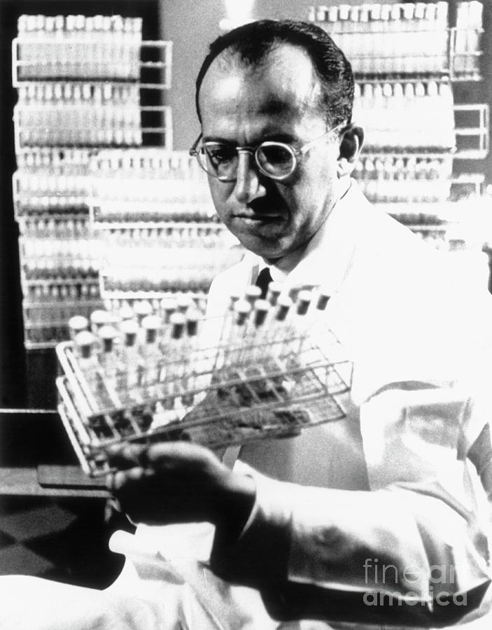 The American Microbiologist Jonas Edward Salk Photograph by National ...