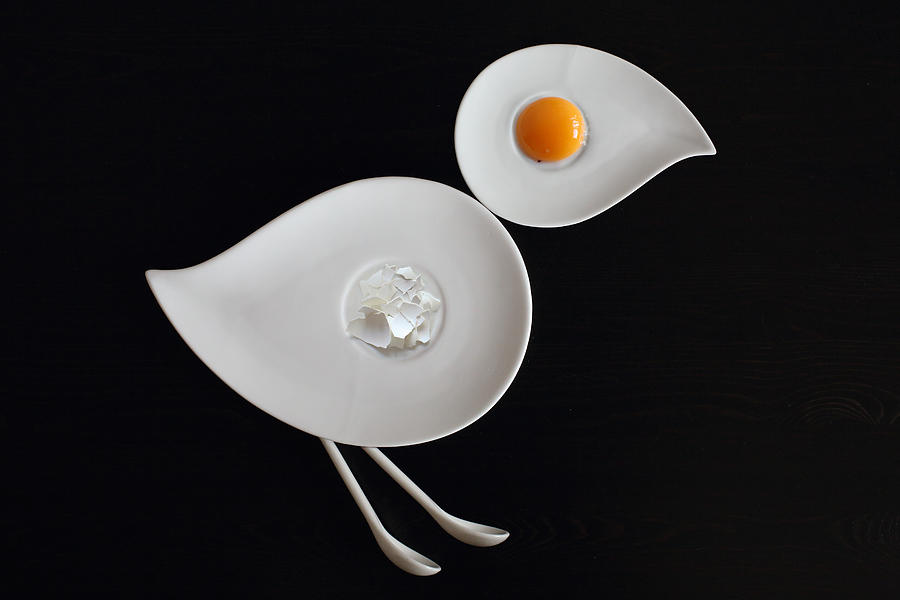 Conceptual Photograph - The Chicken Or The Egg? #2 by Victoria Ivanova