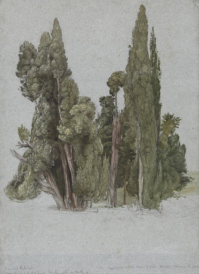 The Cypresses At The Villa D?este, Tivoli Painting by Samuel Palmer ...