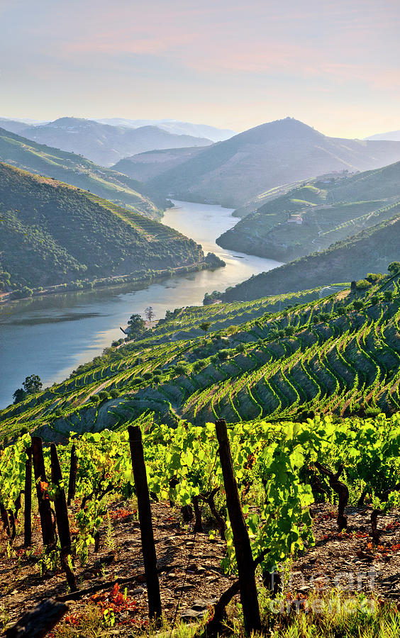 The Douro Valley, Portugal #2 Photograph by Mikehoward Photography