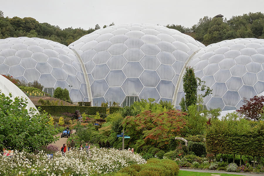 The Eden Project #3 Photograph by Shirley Mitchell
