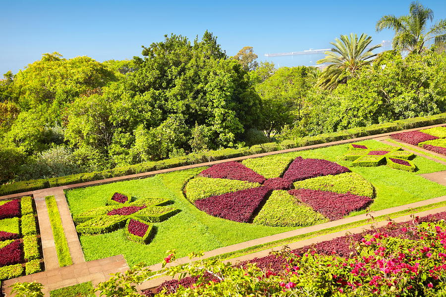 Flower Photograph - The Madeira Botanical Garden - Funchal #2 by Jan Wlodarczyk