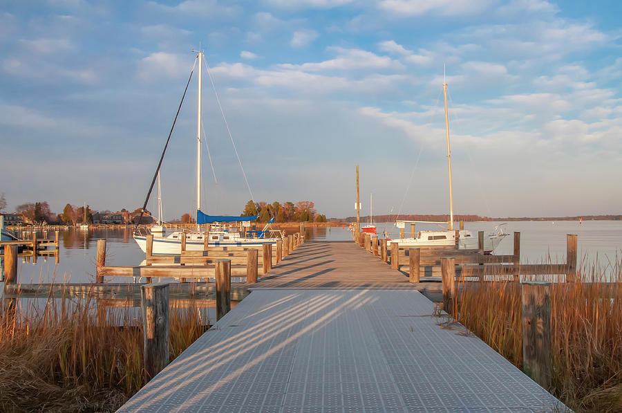 The Marina at St Michaels Maryland #3 Photograph by Bill Cannon