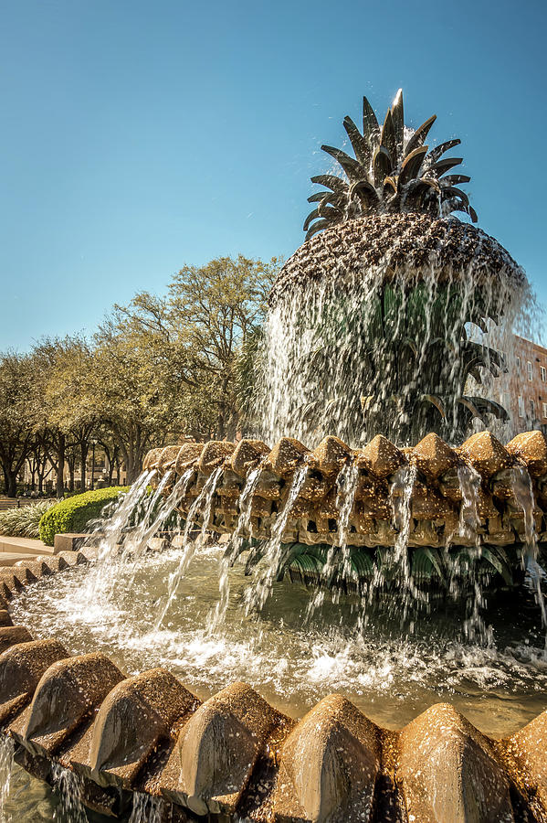 The Pineapple Fountain, at the Waterfront Park in Charleston #2 Photograph by Alex Grichenko