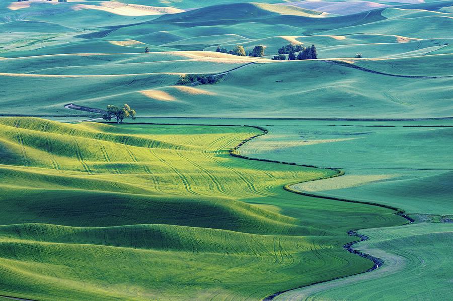 The rolling hills of the Palouse Photograph by Frank Shoemaker - Pixels