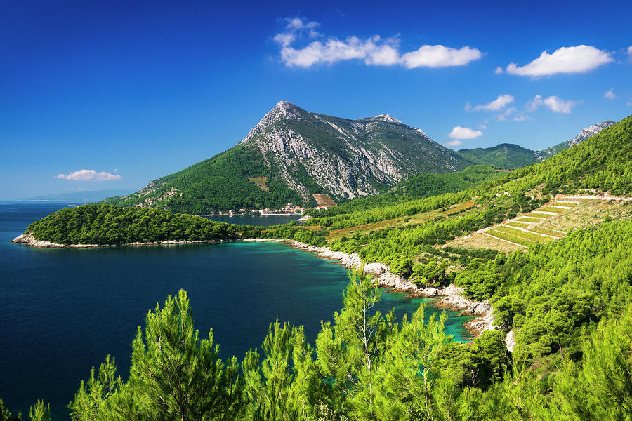 Adriatic Photograph - The Village Of Trstenik On The Peljesac by Russ Bishop Adriatic Photograph - The Village Of Trstenik On The Peljesac by Russ Bishop