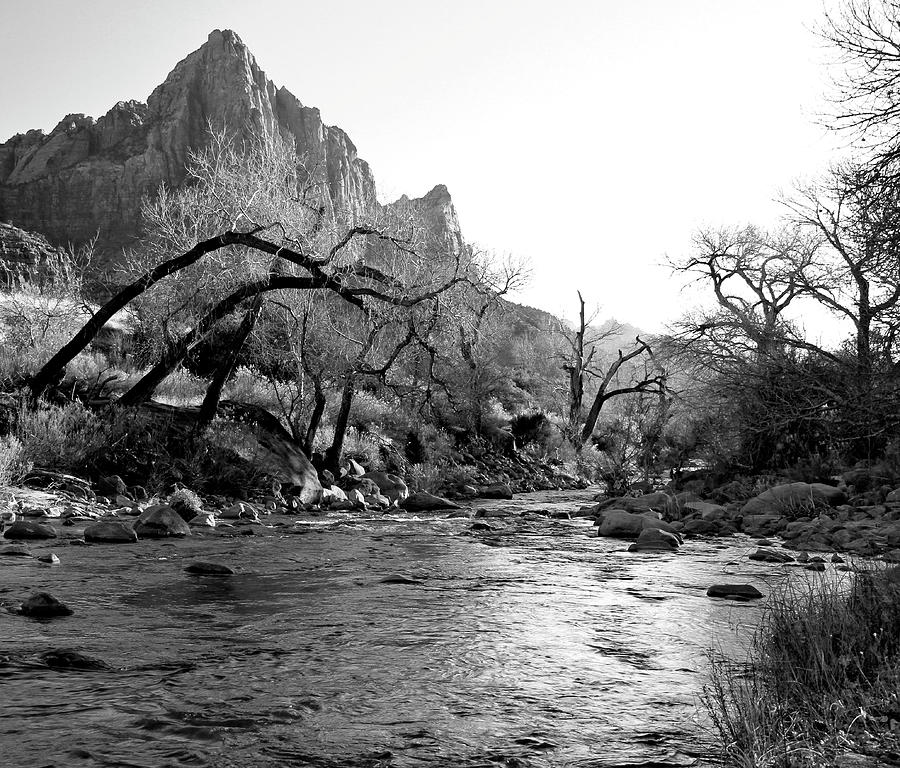 Zion National Park Photograph - The Watchman  #3 by Ed Riche