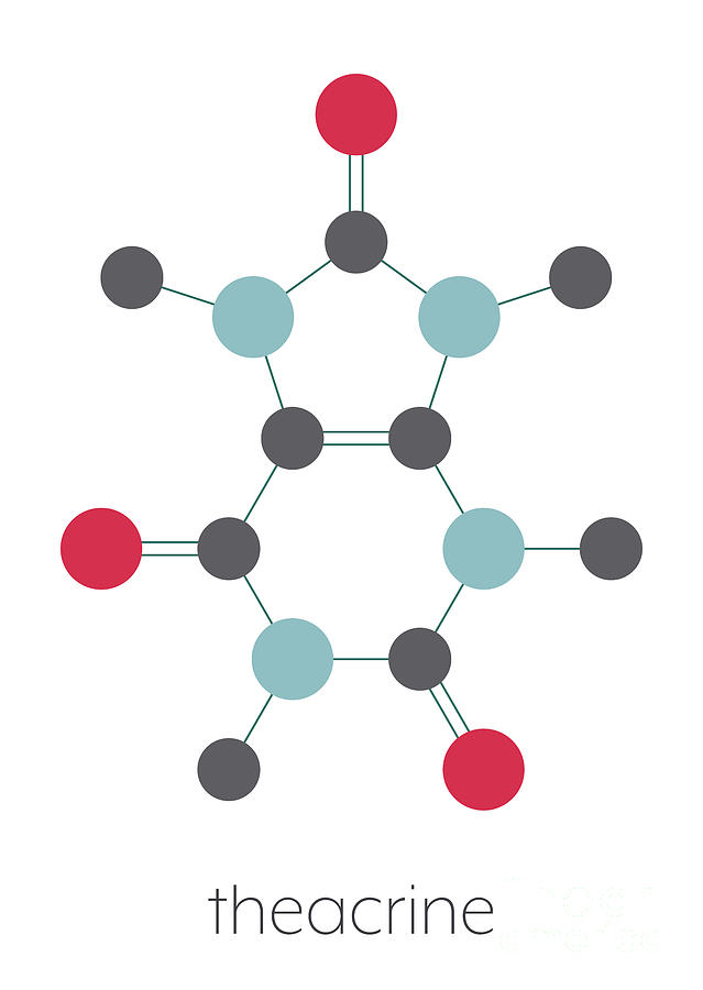 Theacrine Molecule Photograph by Molekuul/science Photo Library - Fine ...