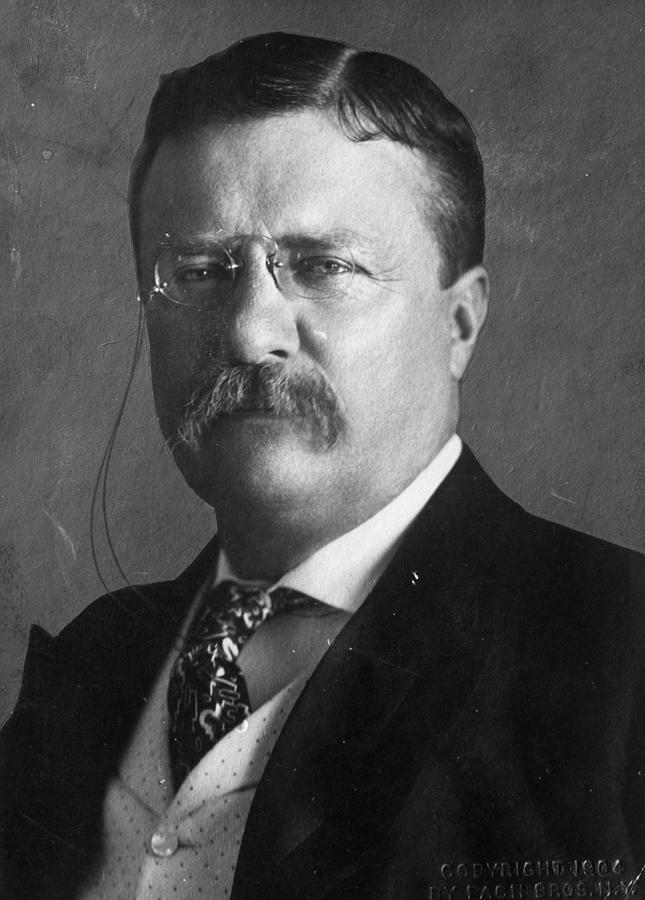 Theodore Roosevelt #2 Photograph by Hulton Archive