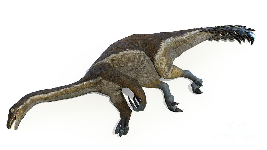 Therizinosaurus #2 Photograph by Sebastian Kaulitzki/science Photo Library