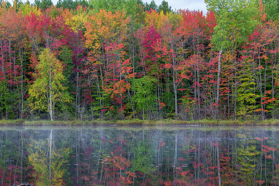 Thornton Lake In Fall Color, Alger Photograph by Richard and Susan Day ...