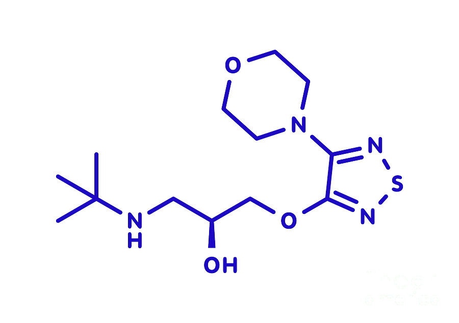 timolol beta 1blocker adrenergic receptors eye timolol beta 1blocker adrenergic receptors eye