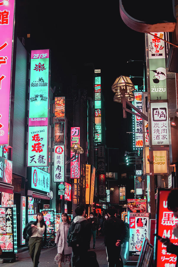 Tokyo Photograph by Diana Rosin - Fine Art America