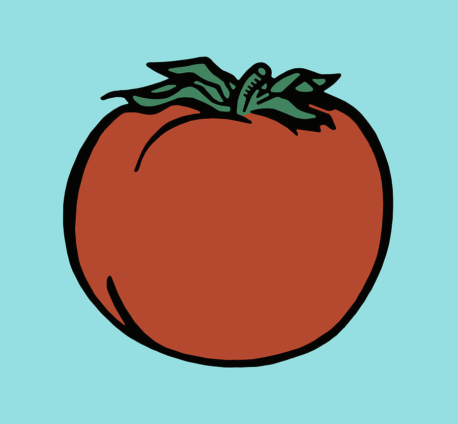 Tomato Drawing - Tomato #2 by CSA Images