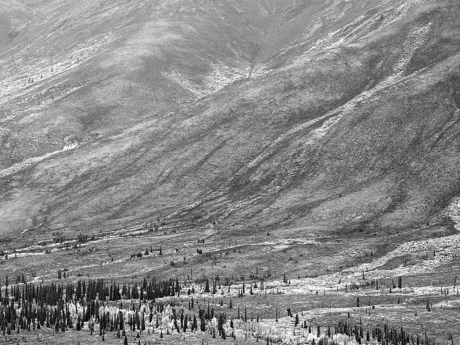 Tombstone Territorial Park Yukon #2 Photograph by Tim Fitzharris