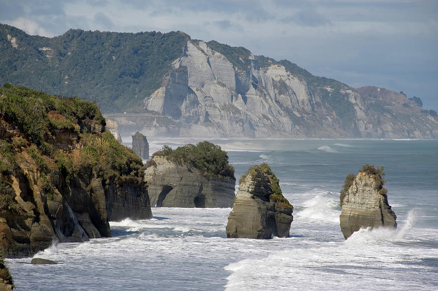 Tongaporuto White Cliffs #2 Photograph by John Elk