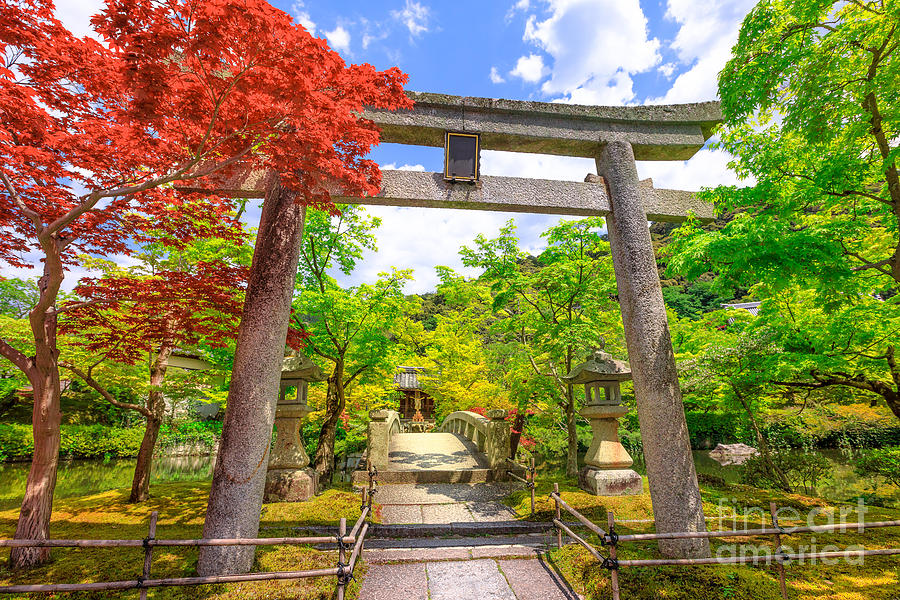 Torii Gate in Eikando #2 Photograph by Benny Marty