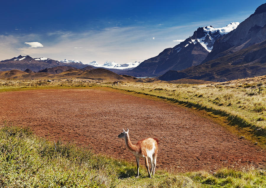 Landscape Photograph - Torres Del Paine National Park #2 by DPK-Photo