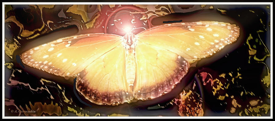Tropical Queen Butterfly, Soldier Butterfly #2 Digital Art by A Macarthur Gurmankin