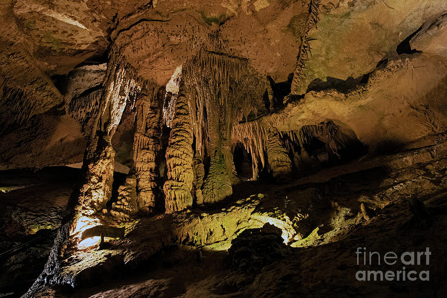 Tuckaleechee Caverns Stalagmites #4 Photograph by David Oppenheimer