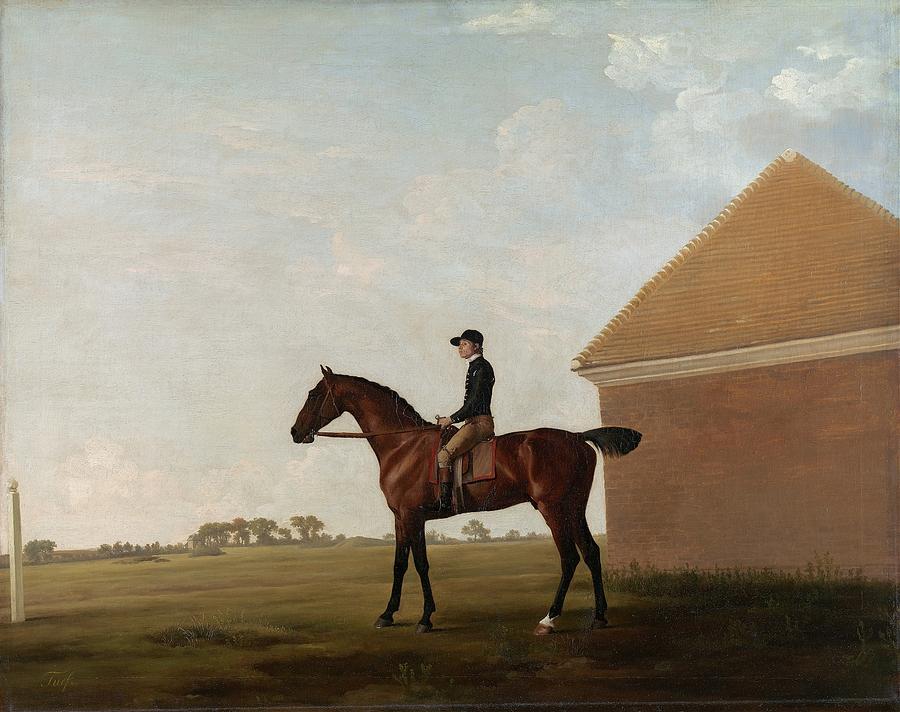 George Stubbs Painting - Turf, With Jockey Up, At Newmarket by George Stubbs