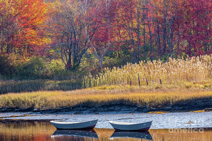 Two Boats in Autumn #3 Photograph by Susan Cole Kelly
