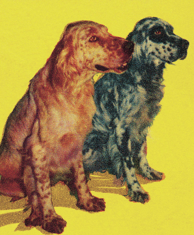 Vintage Drawing - Two Dogs #2 by CSA Images