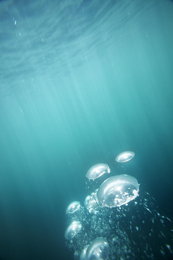 Underwater, Oxygen Bubbles Rising To #2 Photograph by Lewis Mulatero