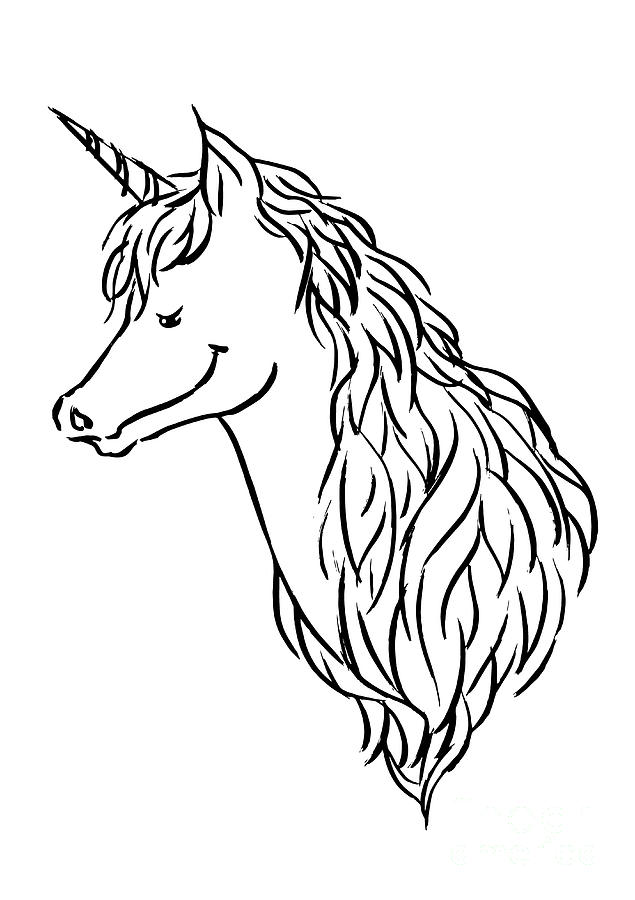 Unicorn Hand Drawing Sketck Doodle Fantasy Illustration Design Digital 